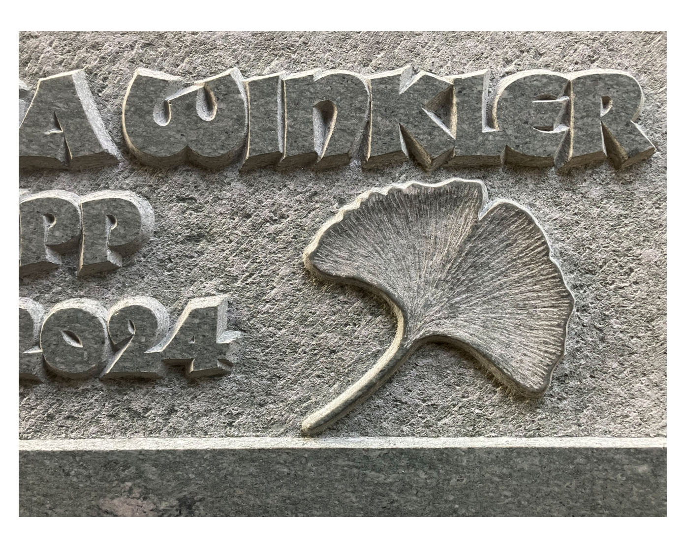 Detailaufnahme einer gehauenen Schrift mit halbplastischem Ginkgoblatt